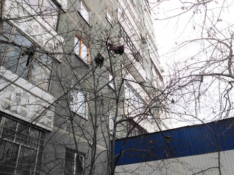 Превратили крышу в помойку