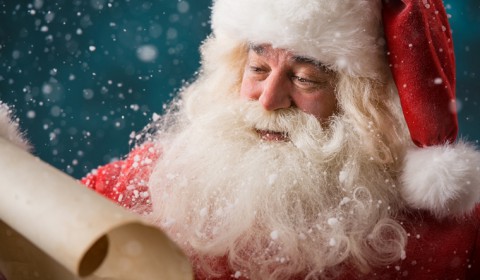 Предъяви, Дед Мороз, документы!