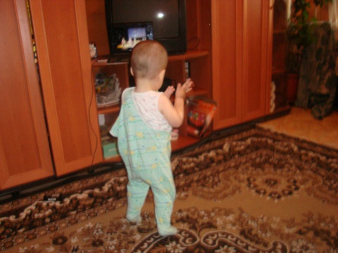 антонида зиброва