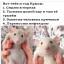 Зря ждали и радовались новому 2020 году!