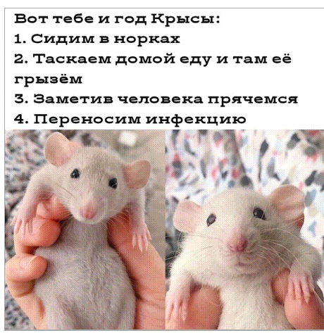 Зря ждали и радовались новому 2020 году!