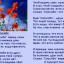 "СПАСИБО"